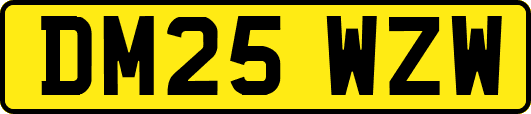 DM25WZW