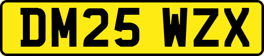 DM25WZX