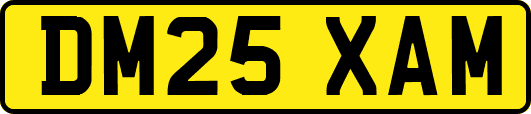 DM25XAM