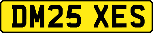 DM25XES