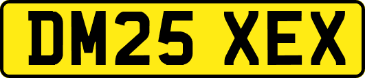 DM25XEX