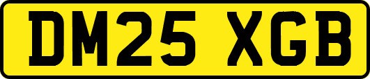 DM25XGB