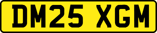 DM25XGM
