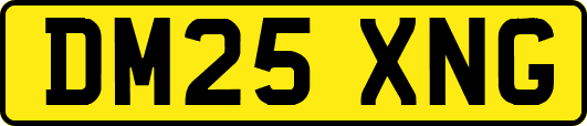 DM25XNG