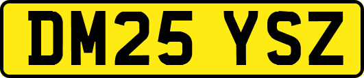 DM25YSZ