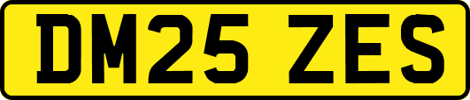 DM25ZES
