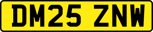 DM25ZNW