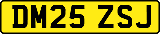DM25ZSJ