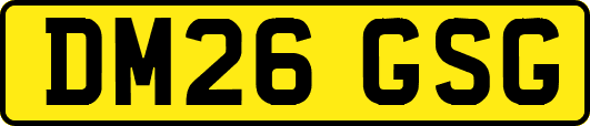 DM26GSG