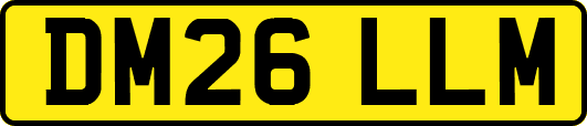 DM26LLM