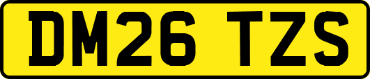 DM26TZS