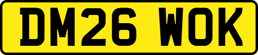 DM26WOK