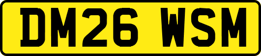 DM26WSM