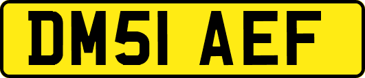 DM51AEF