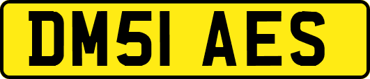 DM51AES