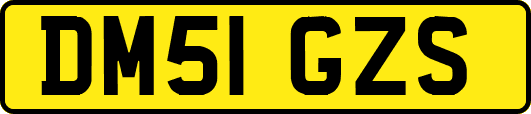 DM51GZS