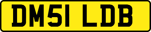 DM51LDB