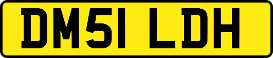 DM51LDH