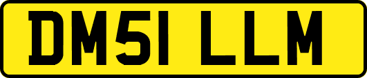 DM51LLM