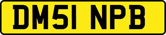 DM51NPB