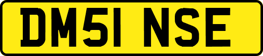 DM51NSE