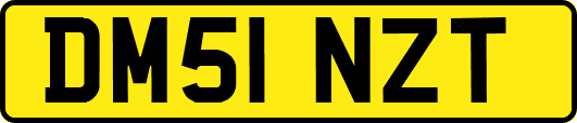 DM51NZT