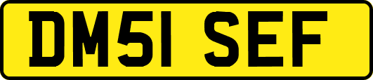 DM51SEF