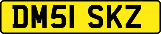 DM51SKZ