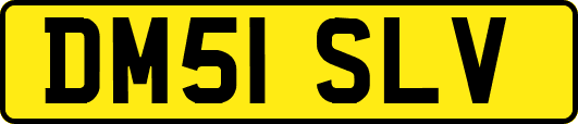 DM51SLV