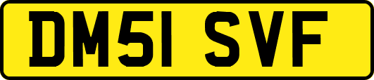 DM51SVF