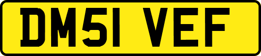 DM51VEF