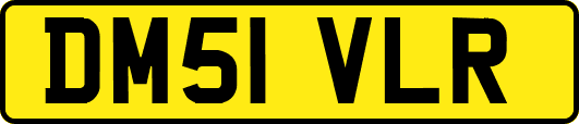 DM51VLR