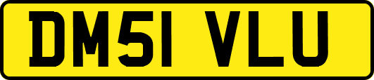 DM51VLU