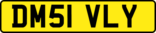 DM51VLY