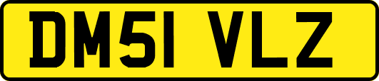 DM51VLZ