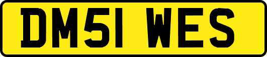 DM51WES