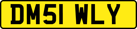 DM51WLY