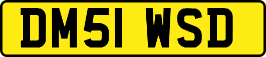 DM51WSD