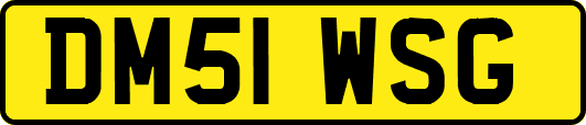 DM51WSG