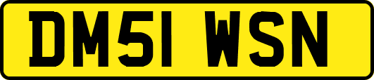 DM51WSN