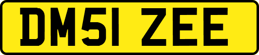 DM51ZEE