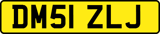 DM51ZLJ
