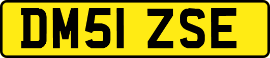 DM51ZSE