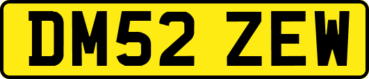 DM52ZEW