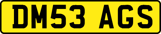 DM53AGS