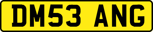 DM53ANG