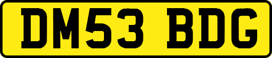 DM53BDG