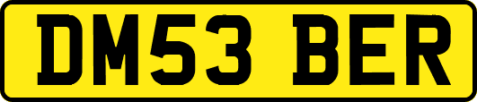 DM53BER