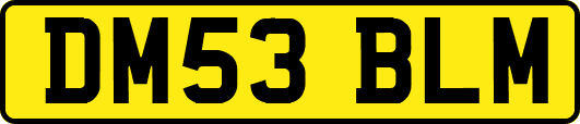 DM53BLM