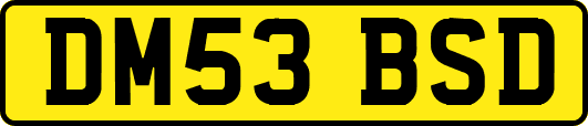 DM53BSD